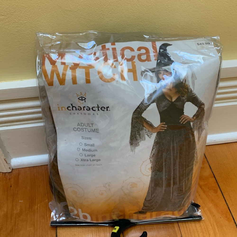 Halloween Witch Costume
